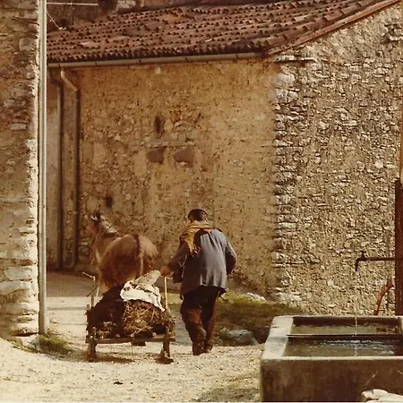 Casa vacanze Borgo Stramare Fra Valdobbiadene E Segusino *